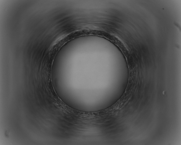 X0000093210919200709261422