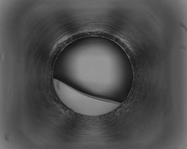 X0000093210920200709261422