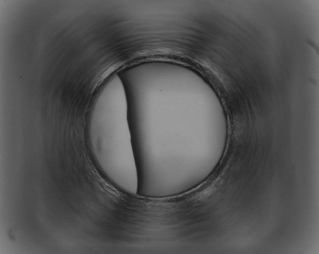 X0000093210921200709261422