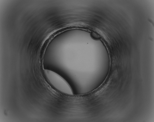 X0000093210923200709261422
