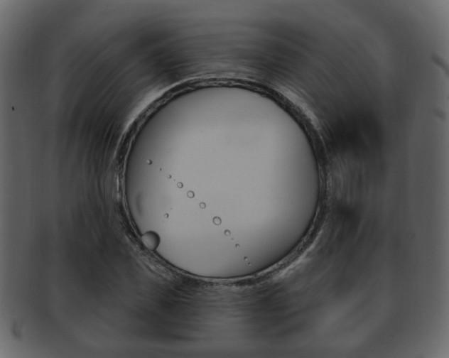 X0000093210925200709261422