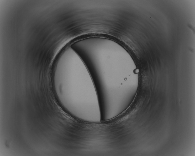 X0000093210926200709261422