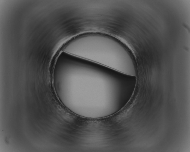 X0000093210927200709261422