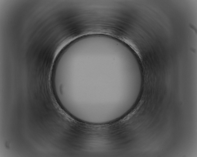 X0000093210928200709261422