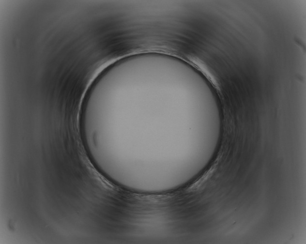 X0000093210932200709261422