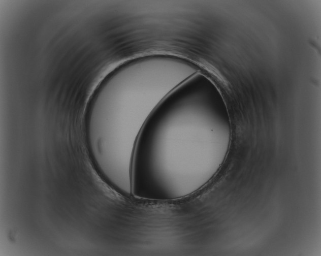 X0000093210934200709261422