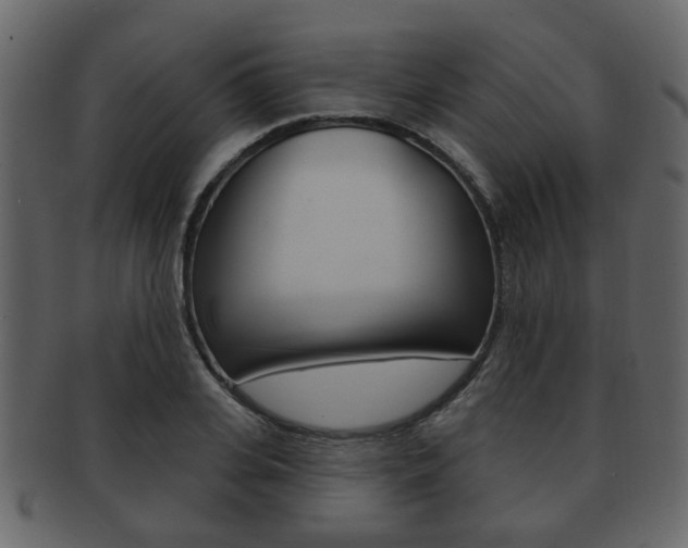 X0000093210935200709261422
