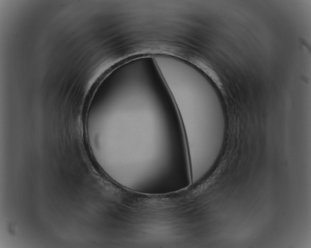 X0000093210936200709261422