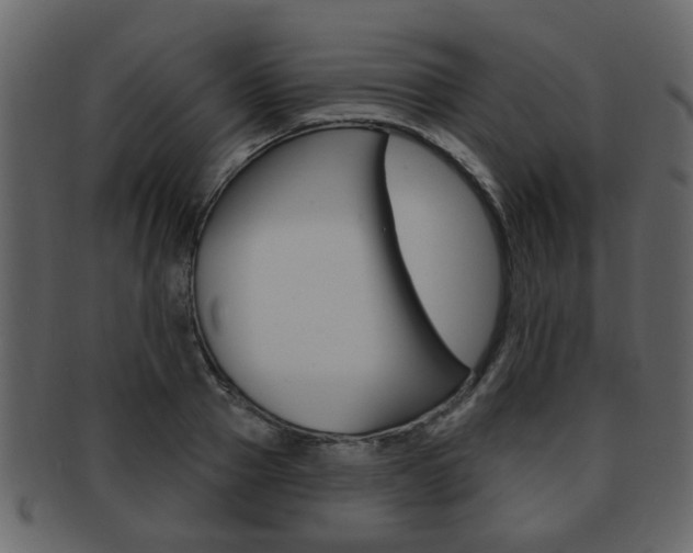 X0000093210937200709261422