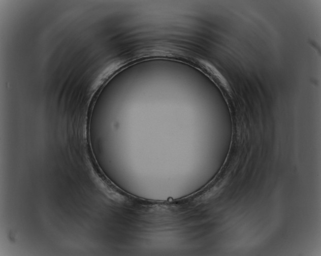X0000093210938200709261422