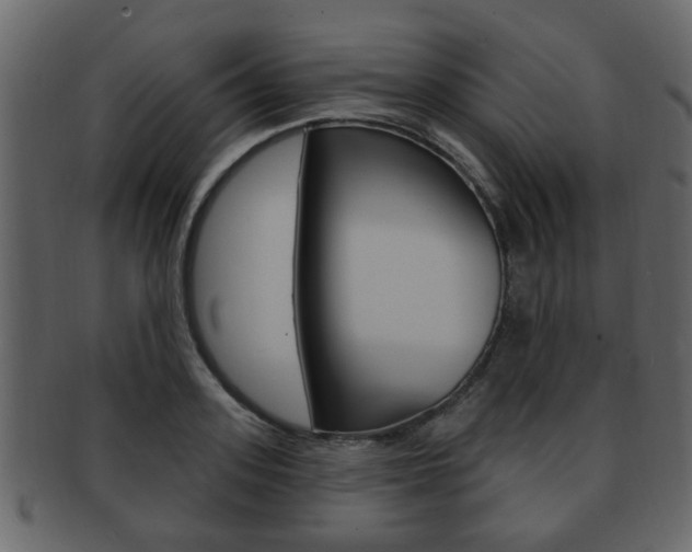 X0000093210939200709261422