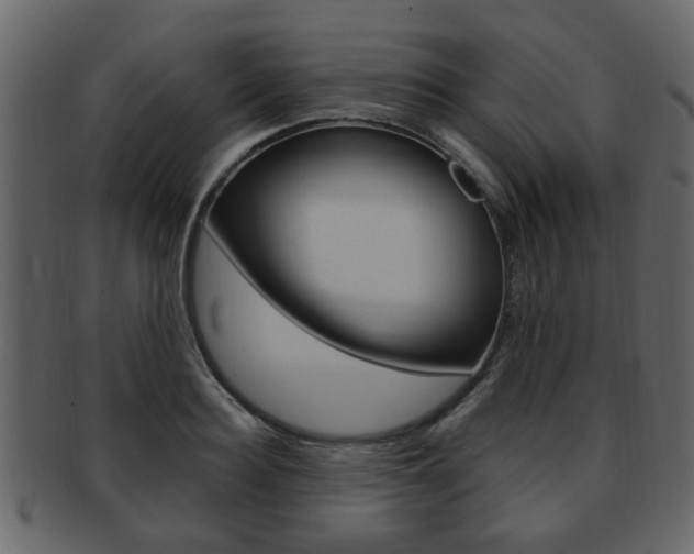 X0000093210940200709261422