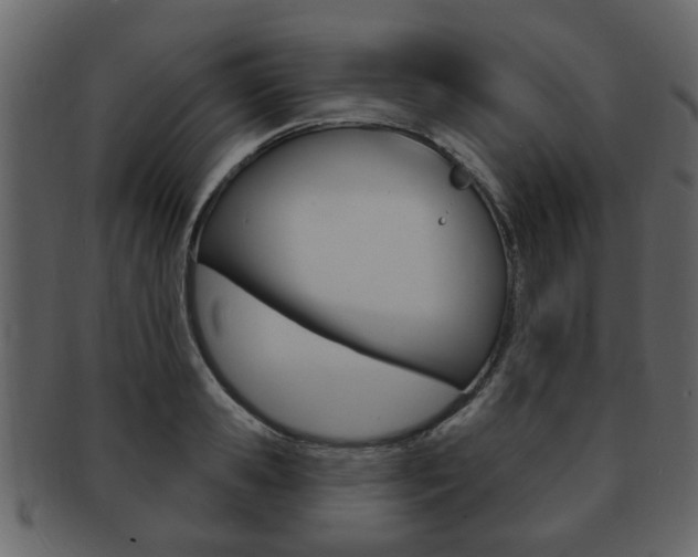 X0000093210941200709261422
