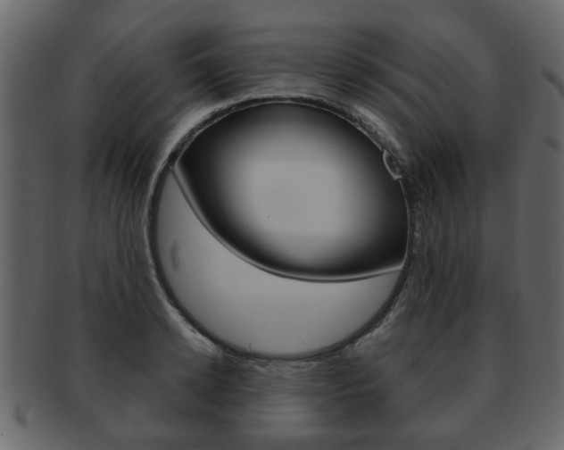 X0000093210942200709261422