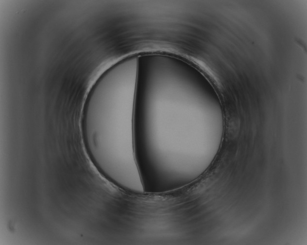 X0000093210943200709261422