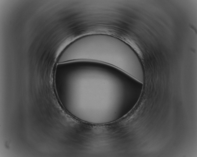 X0000093210944200709261422