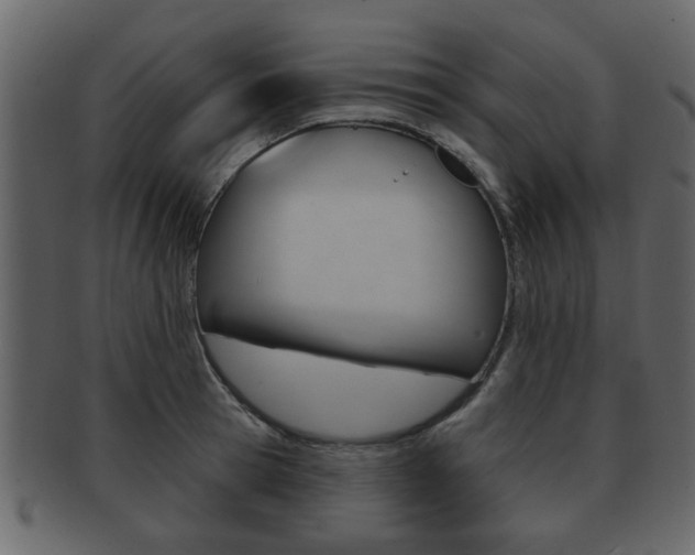 X0000093210945200709261422
