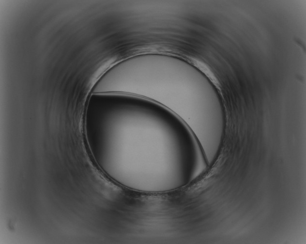 X0000093210946200709261422