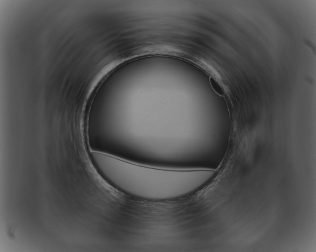 X0000093210947200709261422
