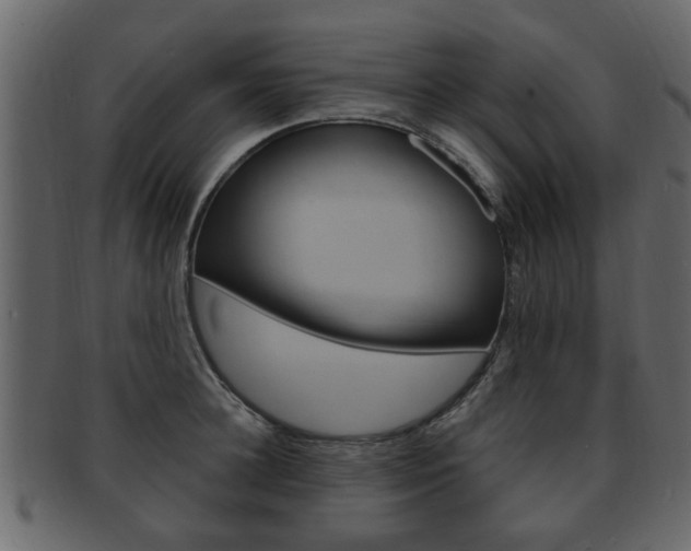 X0000093210948200709261422