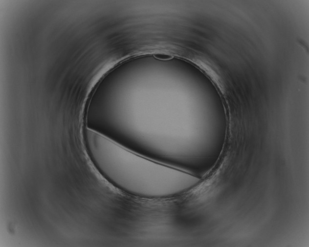 X0000093210949200709261422