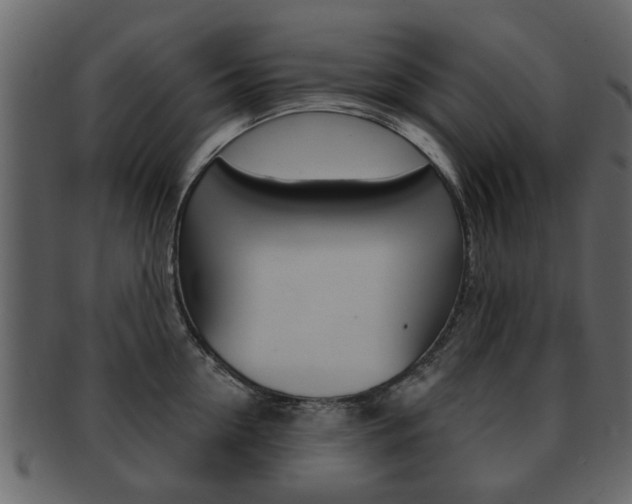 X0000093210954200709261423