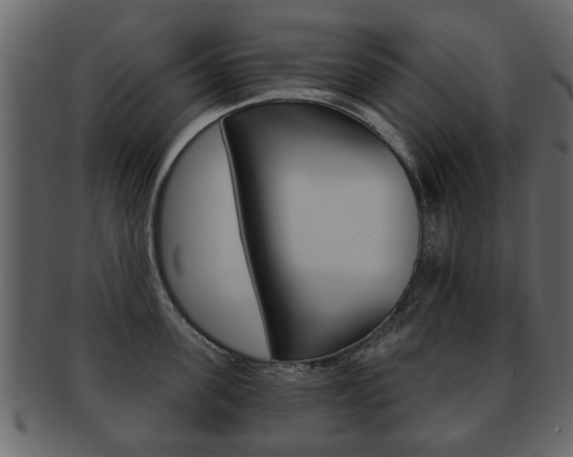 X0000093210955200709261423