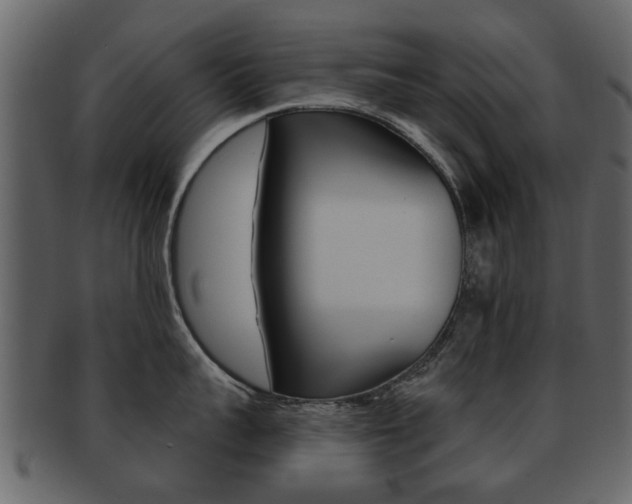 X0000093210959200709261423
