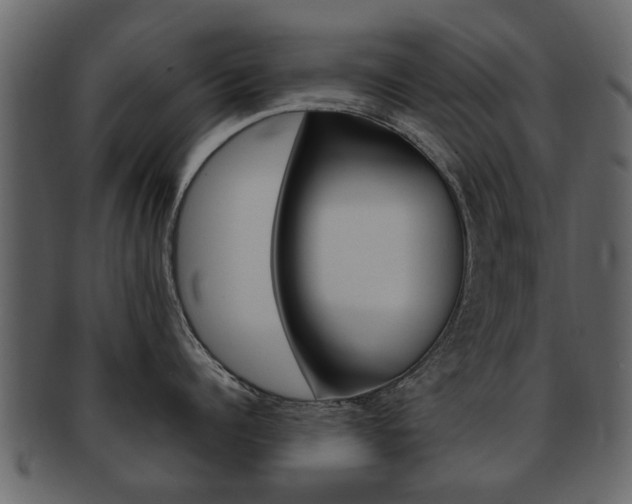 X0000093210960200709261423