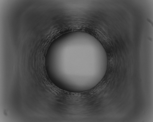 X0000093210961200709261422