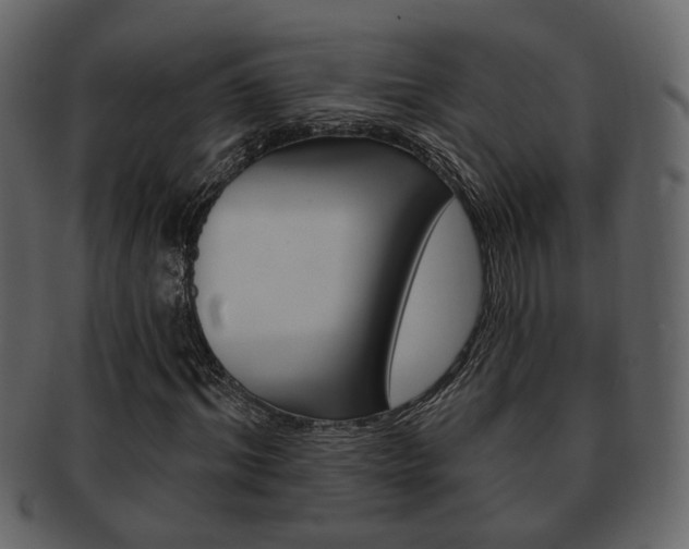 X0000093210964200709261422