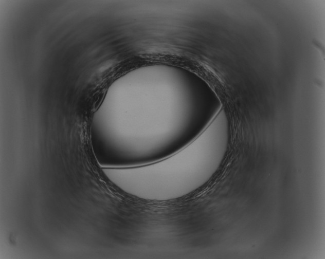 X0000093210965200709261422