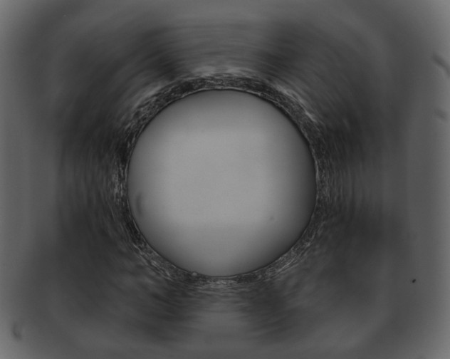 X0000093210966200709261422