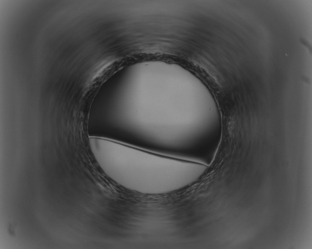 X0000093210968200709261422