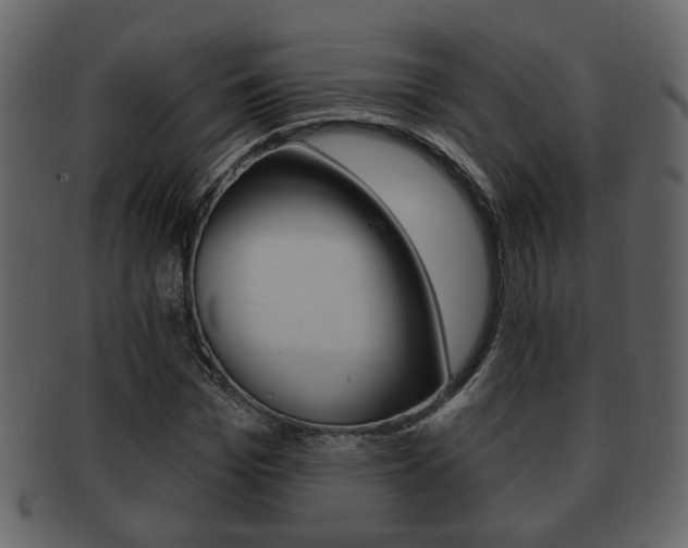 X0000093210969200709261422