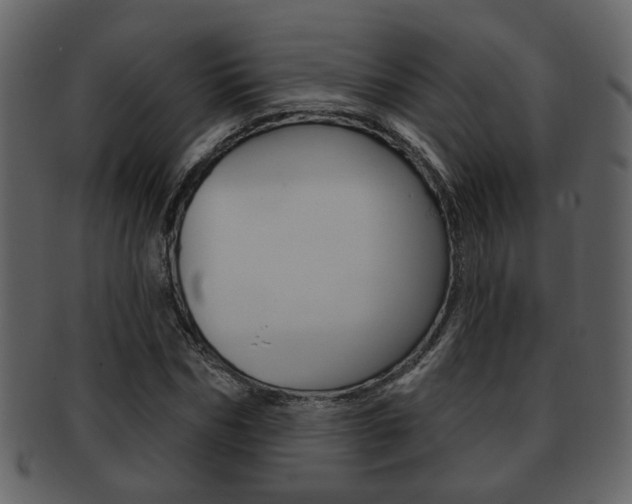 X0000093210970200709261422