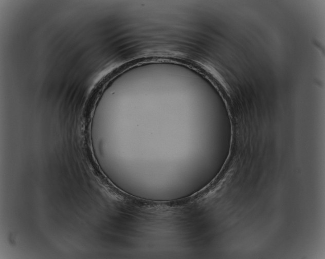 X0000093210971200709261422