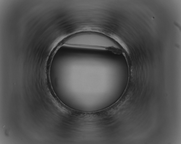 X0000093210972200709261422