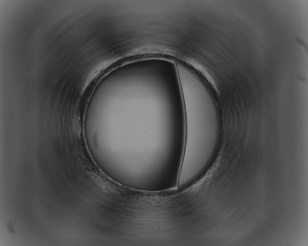 X0000093210973200709261422