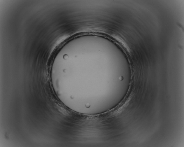 X0000093210974200709261422