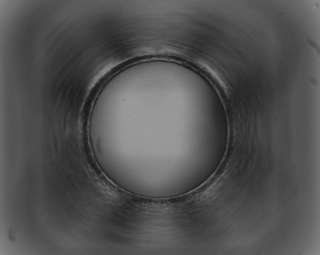 X0000093210975200709261422