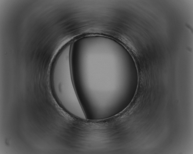 X0000093210976200709261422