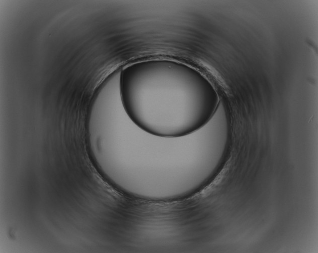 X0000093210977200709261422
