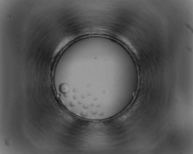 X0000093210978200709261422