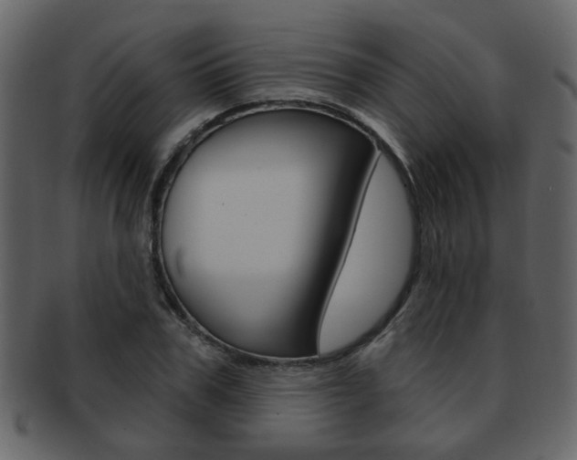 X0000093210979200709261422