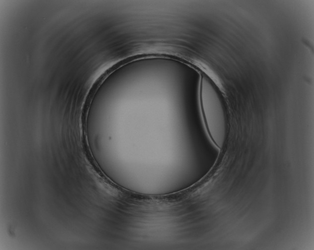 X0000093210980200709261422