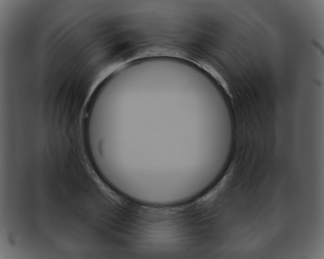 X0000093210981200709261422