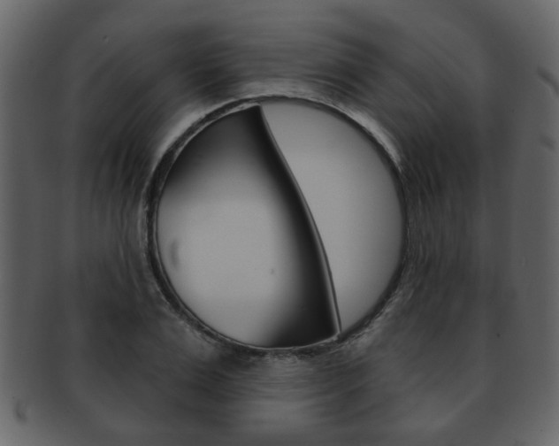 X0000093210983200709261422
