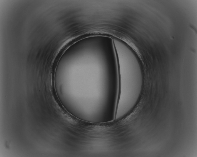 X0000093210984200709261422