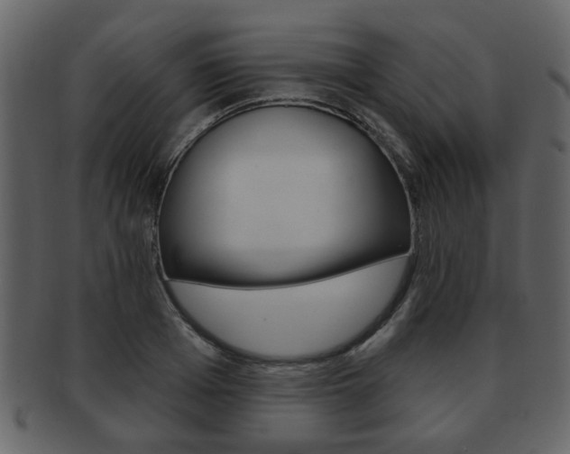X0000093210985200709261422